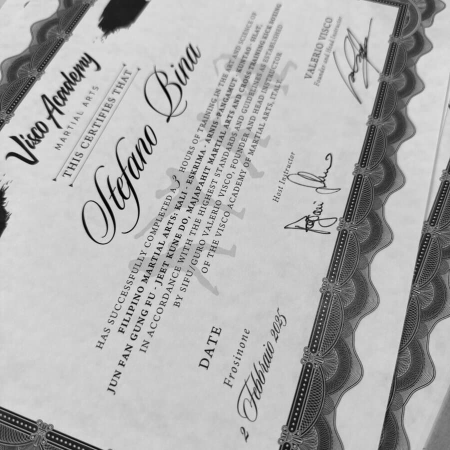 Certificato Visco Academy